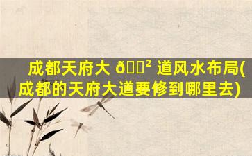 成都天府大 🌲 道风水布局(成都的天府大道要修到哪里去)